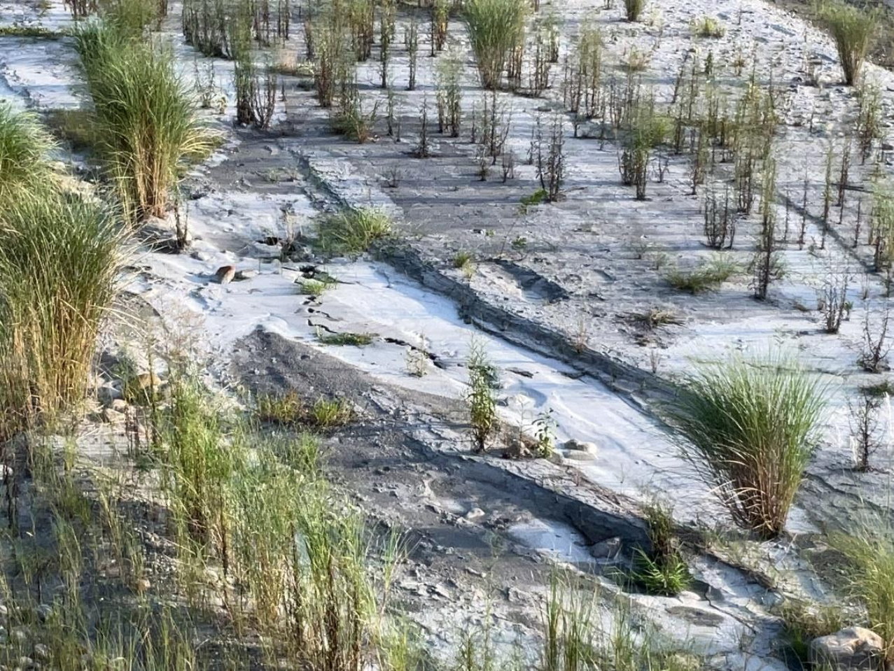 臺東縣鹿野鄉瑞和村寶華大橋附近河床距地表破裂與噴砂現象呈南北走向。(根據中央地質調查所, 2022)